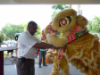 Lion Dance